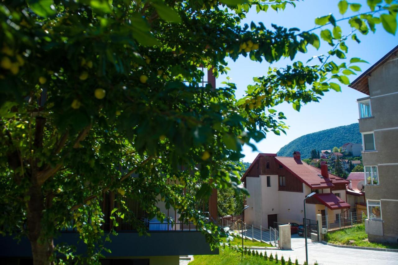 Snug Apartments - Private Parking Near Downtown Braşov Esterno foto