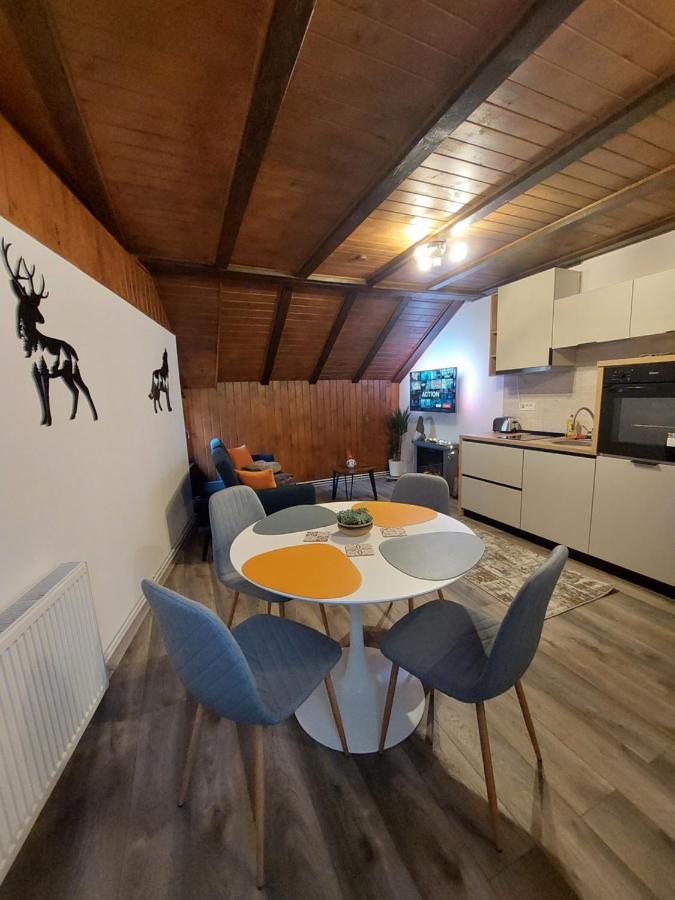 Snug Apartments - Private Parking Near Downtown Braşov Esterno foto