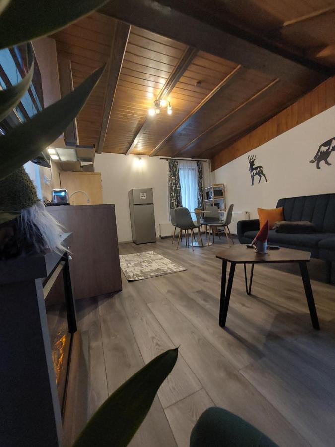 Snug Apartments - Private Parking Near Downtown Braşov Esterno foto