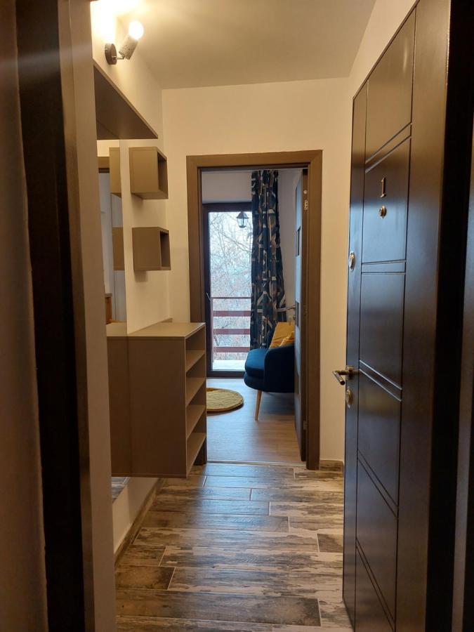 Snug Apartments - Private Parking Near Downtown Braşov Esterno foto