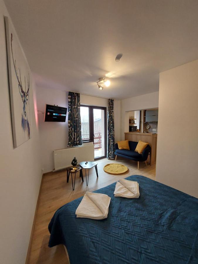 Snug Apartments - Private Parking Near Downtown Braşov Esterno foto